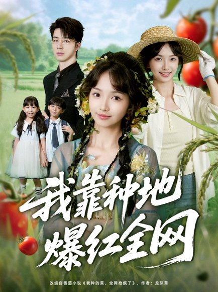 我靠种地爆红全网（100集）大宝（孙志强）＆杨琳 高清完整版