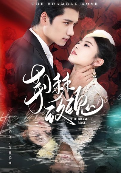 荆棘玫瑰（56集） 高清完整版
